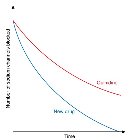 <strong>A new drug has been developed to treat cardiac arrhythmias.  The drug has high affinity for activated and inactivated sodium channels but relatively little affinity for resting sodium channels.  An experiment is devised to maintain sodium channels in the inactivated state for a prolonged period, during which they are exposed to the new drug.  After allowing the sodium channels to return to the resting state, the speed of the drug's dissociation from the sodium channels is recorded and shown below.  The dissociation curve for quinidine is given for comparison.   The pharmacologic action of the new drug is most similar to which of the following drugs?</strong> A)Disopyramide B)Flecainide C)Lidocaine D)Propranolol E)Sotalol F)Verapamil <div style=padding-top: 35px> 