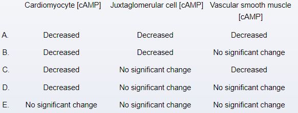 A 47-year-old man comes to the office for follow-up of his elevated blood pressure. The patient's medical history is significant for stable angina pectoris, for which he takes sublingual nitroglycerin as needed. He has no orthopnea, paroxysmal nocturnal dyspnea, or lower extremity swelling. His blood pressure is 154/107 mm Hg and pulse is 86/min. Physical examination shows no abnormalities. The patient is started on a low dose of atenolol. Which of the following cellular changes will most likely occur as a direct effect of this medication?