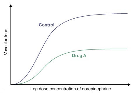 In an experiment investigating vasoconstriction of the arterial wall, two samples of isolated porcine arterial vessels are studied.  Vascular tone is measured in the control vessel during infusion of increasing doses of norepinephrine.  The other vessel is pretreated with experimental drug A prior to infusion of norepinephrine.  A graph of the study results is depicted below.   Drug A is most similar to which of the following agents? A) Atropine B) Labetalol C) Phenoxybenzamine D) Phentolamine E) Propranolol