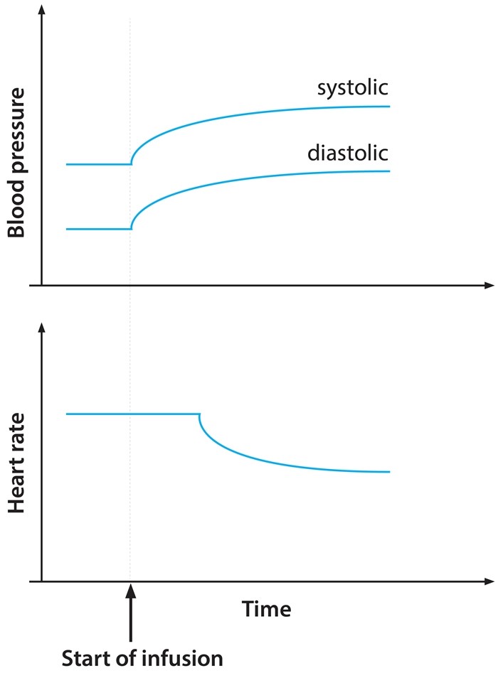 A physician is conducting a clinical trial for a new hemodynamic drug developed for a variety of indications.  The drug's pharmacodynamic profile indicates that it is a pure adrenergic agonist with no significant antagonistic properties.  It is infused into a volunteer, and hemodynamic parameters are recorded in the graphs below.   Administration of the drug to healthy individuals would most likely result in which of the following physiologic changes? A) Decreased atrioventricular node conduction velocity B) Decreased cardiac afterload C) Decreased pulmonary capillary wedge pressure D) Decreased venous tone E) Increased renal perfusion