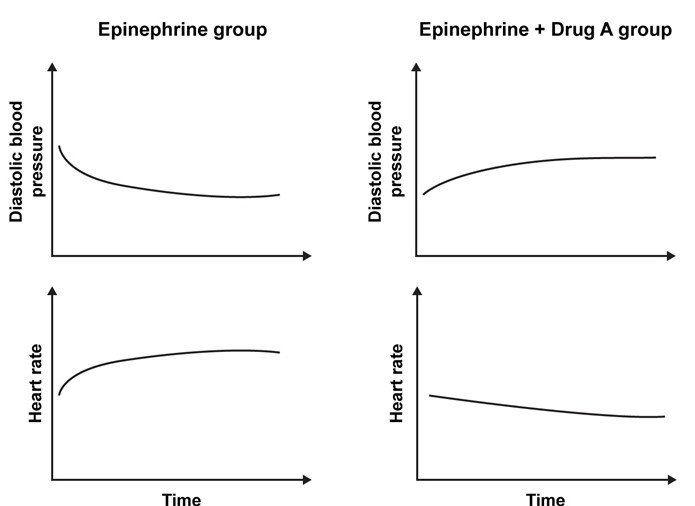 An experiment is conducted to assess the effects of drug A on the hemodynamic actions of epinephrine.  Two groups of healthy volunteers are selected.  The first group receives only low-dose epinephrine, and its effects on diastolic blood pressure and heart rate are monitored and shown below (epinephrine group) .  The second group is pretreated with drug A and then infused with low-dose epinephrine to produce a new set of curves (epinephrine + drug A group) .   Which of the following medications is most likely to be drug A? A) Atropine B) Isoproterenol C) Phentolamine D) Phenylephrine E) Propranolol
