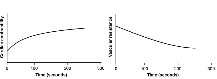 Recurrent syncope is being evaluated in a 66-year-old man. Over the last 6 months, he has experienced three episodes of dizziness and palpitations, followed by a brief loss of consciousness. He is not experiencing any chest pain or dyspnea. The patient has a history of high blood pressure and hyperlipidemia. There is no history of sudden death in the family. The initial evaluation reveals that the ECG and echocardiogram are normal. An electrophysiologic study of the heart is performed. During the study, an intravenous infusion of a medication is given, resulting in the responses shown below.   Which of the following medications was most likely administered to this patient? A) Acetylcholine B) Adenosine C) Clonidine D) Esmolol E) Isoproterenol F) Norepinephrine G) Phenylephrine