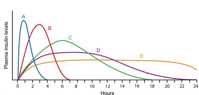 A 21-year-old man comes to the emergency department due to several days of dizziness and extreme fatigue.  The patient has been drinking a lot of water and urinating more than usual for the past 2 weeks.  He developed nausea and vomiting a day ago and has had difficulty keeping food and liquids down since then.  The patient has no other medical conditions and takes no medications.  Blood pressure is 90/60 mm Hg, pulse is 120/min, and respirations are 20/min.  Urinalysis is positive for glucose and ketones.  The patient is given intravenous fluids and an intravenous infusion of recombinant human insulin without any amino acid modification.  After his condition is stabilized, the insulin infusion is stopped, and the same insulin formulation is administered subcutaneously.  Which of the following drug concentration curves is most likely to be obtained after the subcutaneous insulin injection?   A) A B) B C) C D) D E) E