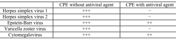 The antiviral activity of a guanosine derivative is tested by examining cells infected with different viruses for characteristic abnormal changes in cell morphology due to the viruses.  These changes are known as the cytopathic effect (CPE) .  In the presence of significant antiviral activity, CPE will be inhibited.  The following results are obtained from the study:   A difference in which of the following best explains the variation in susceptibility of the various viruses to this specific antiviral agent? A) DNA polymerase structure B) Drug degradation rate C) Drug phosphorylation rate D) Viral capsid protein composition E) Viral protease activity