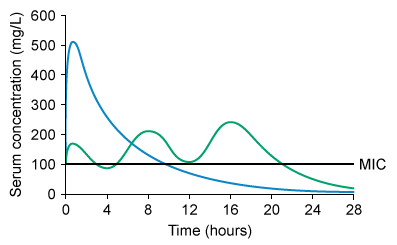 A novel aminoglycoside antibiotic is developed that is intravenously administered and excreted unchanged in urine with an elimination half-life of 4 hours.  Two different dosing regimens are tested in a clinical trial: smaller doses given 3 times a day and a higher dose given once a day.  The total administered drug amount per kilogram of body weight per day (mg/kg/day)  is the same in both regimens.  Serum drug concentration is monitored in both groups and is shown in the graph below:[Blue: once-daily (extended interval)  dosing, Green: multiple-daily dosing, MIC: minimum inhibitory concentration]   It is found that both regimens are effective against gram-negative pathogens, with clinical improvement occurring slightly earlier on average with once-daily dosing.  Which of the following best explains the efficacy of once-daily dosing despite the short half-life of this antibiotic? A) Concentration-dependent killing B) High therapeutic index C) Linear dose-response relationship D) Low threshold dose E) Time-dependent killing