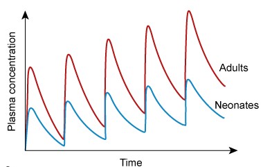 Researchers develop a novel glycopeptide antibiotic similar to vancomycin that is bactericidal against many gram-positive bacteria.  From animal studies, they determine that the effective drug dosage is 5 mg/kg/day administered intravenously in divided doses.  In a clinical trial, the antibiotic is administered to adult and neonatal patients with gram-positive infections.  The drug is found to be effective in adults but not in neonates.  During further analysis, plasma concentrations of the drug are measured in both groups, with the results shown in the image below:   Compared to adults, which of the following neonatal factors is the most likely cause of the difference in drug effectiveness? A) Decreased cytochrome P450 activity B) Decreased renal blood flow C) Elevated plasma protein level D) High body water content