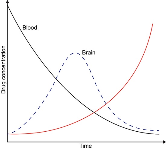 A group of investigators is studying the pharmacokinetic properties of the anesthetic drug propofol.  A radiolabeled formulation of the drug is prepared and a single bolus is administered to adult guinea pigs.  Blood and tissue samples are then collected at predetermined time intervals.  Concentrations of the radioactive drug in the samples are assessed by liquid scintillation counting.  The graph below demonstrates the drug concentration-time relationship in various tissues.   The red line on the graph most likely corresponds to which of the following tissues? A) Heart B) Kidney C) Liver D) Lungs E) Skeletal muscle
