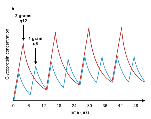 Researchers are developing a new glycopeptide antibiotic similar to vancomycin.  Susceptibility testing reveals that the new drug is bactericidal against gram-positive organisms at serum concentrations above 15 µg/mL.  Two different dosage regimens are developed to achieve a target serum trough concentration of 15-20 µg/mL: one administered as 1 gram every 6 hours and the other as 2 grams every 12 hours.  The two regimens are tested in healthy volunteers during an early-phase clinical trial, and the following pharmacokinetic profiles are obtained.   Compared to the 12-hour dosing regimen, the 6-hour regimen is most likely to exhibit which of the following features? A) Decreased renal clearance B) Higher average plasma drug levels C) Improved patient compliance D) Lower drug toxicity E) Narrower therapeutic window