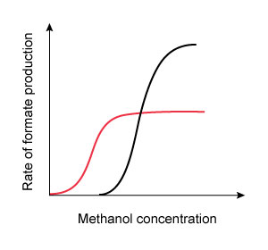 A 42-year-old man is brought to the emergency department due to nausea, vomiting, and blurred vision. He was making his own whiskey with a home moonshine still and started feeling sick after sampling the first several ounces of distillate. Funduscopic evaluation reveals optic disc hyperemia. Laboratory results show a high anion gap metabolic acidosis. It is determined that the patient's symptoms are due to enzymatic conversion of methanol into formate by alcohol dehydrogenase. He is started on fomepizole, a medication that transiently binds to alcohol dehydrogenase and prevents methanol from accessing the enzyme's active site. Which of the following graphs most accurately portrays the change in enzyme kinetics after administration of the antidote?(Black curves = before treatment) A) B) C) D) E)