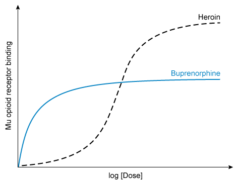 A 34-year-old man comes to the office for evaluation of opioid use disorder.  He was prescribed oxycodone for a sports-related injury in his mid-20s, developed dependency, and began using intravenous heroin in its place.  In the past few years, the patient has had multiple overdoses requiring naloxone administration.  He recently tried quitting heroin on his own but experienced recurrent relapses.  He has now been abstinent for 2 days but reports significant cravings.  After a discussion of various treatment options, the patient is prescribed buprenorphine.  The dose-response curve of this medication is shown in the image below:   Which of the following clinical pharmacologic effects of buprenorphine is most likely? A) Buprenorphine can fully reverse the effect of heroin overdose B) Buprenorphine can precipitate or treat opioid withdrawal from heroin C) Buprenorphine carries a higher risk of hypoventilation compared to heroin D) Buprenorphine overdose is more easily reversed with naloxone compared to heroin