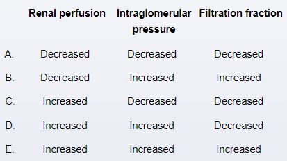 A 70-year-old man comes to the office for follow-up of hypertension.  He has been taking amlodipine but his recent home blood pressure readings have been elevated.  The patient has a long smoking history and, despite many attempts at quitting, continues to smoke cigarettes.  Blood pressure is 140/90 mm Hg and pulse is 76/min.  Examination shows a bruit on auscultation of the abdomen.  Further evaluation reveals bilateral renal artery stenosis.  After initial discussion, the patient is started on daily lisinopril therapy.  The patient is advised to return to the clinic in a few days.  The close follow-up is recommended due to which of the following anticipated effects in this patient's kidney function?   A) A B) B C) C D) D E) E