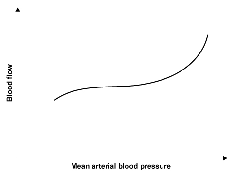<strong>Researchers are observing how coronary blood flow changes in response to progressive increases in the mean arterial blood pressure (see graph below). The mostly horizontal portion of the slope indicates a region where coronary blood flow is relatively insensitive to blood pressure changes. Within this zone of autoregulation, the metabolic demands of the myocardium are the main determinant of coronary blood flow. Which of the following endogenous factors is most responsible for controlling coronary blood flow within this range?</strong> A)Acetylcholine B)Angiotensin II C)Histamine D)Nitric oxide E)Norepinephrine F)Serotonin