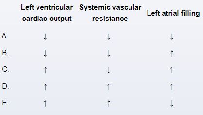 A 12-day-old girl is evaluated in the neonatal intensive care unit (NICU) due to a murmur. The patient was born at 25 weeks gestation and was admitted to the NICU for respiratory support. She was born to a 21-year-old primigravida whose pregnancy was complicated by preeclampsia. Cardiac auscultation reveals a continuous murmur at the left sternal border, and bounding femoral and palmar pulses are palpable. Echocardiography confirms the diagnosis. Compared with a normal infant, this patient most likely has which of the following changes in cardiac parameters?