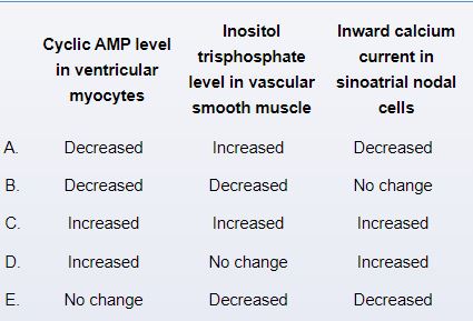 A 44-year-old previously healthy woman comes to the emergency department due to a 2-day history of left flank pain, dysuria, fever, and chills. Temperature is 38.9 C (102 F), blood pressure is 80/40 mm Hg, and pulse is 140/min and regular. Physical examination shows left costovertebral angle tenderness. Laboratory studies reveal leukocytosis, pyuria, and bacteriuria. Empiric broad-spectrum antibiotics and intravenous fluids are administered. The patient remains persistently hypotensive, and an intravenous phenylephrine infusion is begun. Several minutes later, her heart rate decreases to 100/min. Compared to just prior to the infusion, which of the following intracellular changes are expected in this patient?