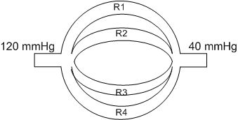 <strong>The circuit shown below has an inflow pressure of 120 mmHg and an outflow pressure of 40 mmHg. Resistance in each of the four vessels shown is 2 mmHg/mL/min (R1 = R2 = R3 = R4 = 2 mmHg/mL/min). What is the total peripheral resistance of the circuit shown on the slide?</strong> A)8 mmHg/ml/min B)4 mmHg/ml/min C)2 mmHg/ml/min D)1 mmHg/ml/min E)0)5 mmHg/ml/min