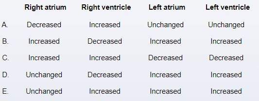 A 6-week-old infant is brought to the office due to difficulty feeding.  The patient was born at 39 weeks gestation via spontaneous vaginal delivery.  He is breastfeeding for 5 minutes per side every 3 hours.  The patient has profuse sweating and difficulty breathing with feeds.  Weight is at the 5th percentile.  On examination, the patient is tachypneic.  Cardiac examination shows a holosystolic murmur at the left lower sternal border; a palpable thrill is present at the left sternal border.  Compared to a healthy infant, this patient likely has which of the following intracardiac pressure changes?   A) A B) B C) C D) D E) E