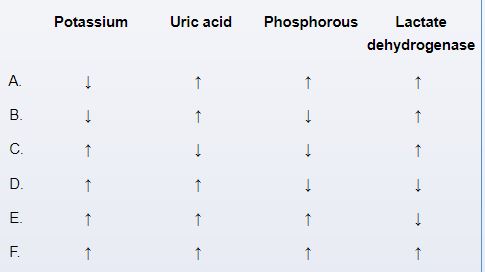 Due to nausea and stomach ache, a 6-year-old child is taken to the clinic by her mother. Despite having Down syndrome, the patient is overall in good health. Upon abdominal examination, the liver edge is shown to be 3 cm below the costal margin and the spleen tip to be above the umbilicus. A subsequent peripheral blood smear showed many lymphoblasts and a leukocyte count of 104,000/mm<sup>3</sup>. Acute lymphoblastic leukemia has been identified in the patient, and combination cytotoxic chemotherapy is being considered. Which of the above laboratory alterations is most likely to be observed in this patient after the start of treatment?   A) A B) B C) C D) D E) E F) F