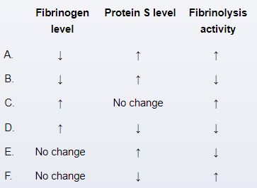 A 28-year-old woman, gravida 2 para 1, at 18 weeks gestation comes to the office for a routine prenatal appointment.  She is feeling well and has had no complications during this pregnancy.  The patient has no chronic medical conditions and has had no previous surgeries.  Her only medications are a daily prenatal vitamin and an iron supplement.  Blood pressure is 110/70 mm Hg and pulse is 62/min.  BMI is 24 kg/m<sup>2</sup>.  Cardiopulmonary examination is unremarkable.  The uterus is consistent with 18 weeks gestation and fetal heart tones are normal.  There is mild bilateral pedal edema to the shins.  Compared to a nonpregnant state, which of the following changes are most likely expected in this patient?   A) A B) B C) C D) D E) E F) F