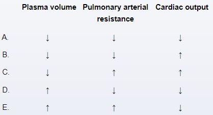 <strong>A 30-year-old lady who often lives in Florida (height near sea level) is planning a week-long business trip to La Paz, Bolivia (elevation 3,600 m [11,900 ft]). Unremarkable medical history. Which physiologic alteration is anticipated throughout the patient's week in La Paz?  </strong> A)A B)B C)C D)D E)E <div style=padding-top: 35px> 