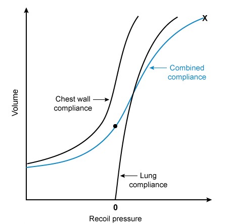 The combined compliance of the lung and chest wall of a healthy individual is measured and plotted as shown below.  It is noted that the intrapleural pressure at the end of maximal inspiration is -8 cm H<sub>2</sub>0 (marked x) .   Which of the following is the best estimate of the intrapleural pressure at the point marked by the black dot? A) + 10 cm H<sub>2</sub>O B) + 5 cm H<sub>2</sub>O C) 0 cm H<sub>2</sub>O D) - 5 cm H<sub>2</sub>O E) -10 cm H<sub>2</sub>O