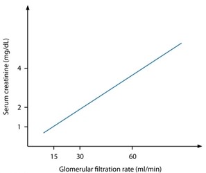 <strong>A 65-year-old man with type 2 diabetes mellitus visits the doctor for a routine check-up. He began taking oral hypoglycemic medications 12 years ago but was recently switched to long-acting insulin due to poor blood sugar control. His most recent serum creatinine level was 2.1 mg/dL. The patient is concerned about his elevated creatinine level and how it relates to his kidney function. Which of the following graphs most accurately represents the relationship between serum creatinine and glomerular filtration rate?</strong> A) B) C) D)