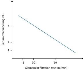 <strong>A 65-year-old man with type 2 diabetes mellitus visits the doctor for a routine check-up. He began taking oral hypoglycemic medications 12 years ago but was recently switched to long-acting insulin due to poor blood sugar control. His most recent serum creatinine level was 2.1 mg/dL. The patient is concerned about his elevated creatinine level and how it relates to his kidney function. Which of the following graphs most accurately represents the relationship between serum creatinine and glomerular filtration rate?</strong> A) B) C) D)
