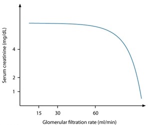 <strong>A 65-year-old man with type 2 diabetes mellitus visits the doctor for a routine check-up. He began taking oral hypoglycemic medications 12 years ago but was recently switched to long-acting insulin due to poor blood sugar control. His most recent serum creatinine level was 2.1 mg/dL. The patient is concerned about his elevated creatinine level and how it relates to his kidney function. Which of the following graphs most accurately represents the relationship between serum creatinine and glomerular filtration rate?</strong> A) B) C) D)
