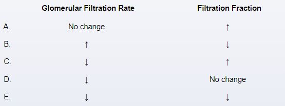<strong>A 48-year-old woman is evaluated for vaginal discharge and postcoital bleeding. A friable mass at the cervix that bleeds easily on touch is discovered during a pelvic examination. A cervical biopsy reveals invasive squamous cell cancer of the cervix and uterus. There are no lymph node metastases. During a radical hysterectomy, the right ureter is accidentally injured but then repaired. Following surgery, imaging studies reveal a partial obstruction of the right ureter with mild dilation of the proximal collecting system. Which of the following changes in the right kidney is most likely? </strong> A)A B)B C)C D)D E)E