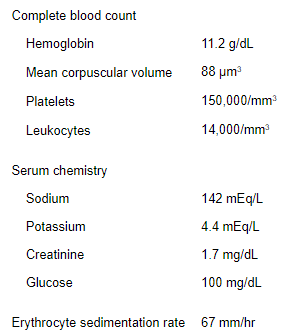 A 54-year-old man comes to the emergency department due to several hours of left upper quadrant pain, which is constant and worsens with deep inspiration.  The patient came to the emergency department a week ago due to fatigue and low-grade fevers for the past month.  Blood cell counts, chest x-ray, and urinalysis were within normal limits, and the patient was discharged home with symptomatic treatment.  He has had no cough, shortness of breath, vomiting, or diarrhea but reports a 4.5-kg (10-lb)  weight loss over the past month.  Medical history includes hypertension, osteoarthritis, and a  heart murmur.   The patient is a smoker with a 30-pack-year history, drinks alcohol occasionally, and does not use illicit drugs.  He is a livestock farmer in rural Pennsylvania and recently returned from a hunting trip. Temperature is 38.4 C (101.1 F) , blood pressure is 136/72 mm Hg, pulse is 90/min, and respirations are 16/min.  The lungs are clear on auscultation.  Heart sounds are normal, and a 2/6 early diastolic murmur is present at the right upper sternal border.  The abdomen is tender in the left upper quadrant with no guarding or rebound tenderness. Laboratory results are as follows:   ECG shows sinus rhythm with nonspecific ST- and T-wave changes.  CT scan of the abdomen reveals multiple splenic infarcts.  Three sets of blood cultures obtained during the previous emergency department visit reveal no growth.  Which of the following is the best next step in management of this patient? A) Antinuclear antibody and complement levels B) Blood microscopy for intracytoplasmic inclusions C) Echocardiographic examination D) Imaging and endoscopic cancer screenings E) Testing for inherited thrombophilia