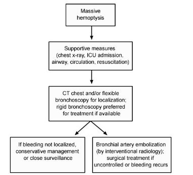 A 62-year-old man comes to the emergency department after  coughing up a 6-ounce cupful of blood.   He describes about 3 days of increased yellowish sputum production associated with mild increase in dyspnea on exertion.  On the previous 2 days he had slight blood streaking in the sputum.  He has no prior history of hemoptysis.  He has no fever, chills, weight loss, or night sweats. His past medical history is significant for HIV and tuberculosis treated 12 years ago with directly observed therapy for 9 months.  He is compliant with highly active antiretroviral therapy.  He is an ex-IV drug user with a 50-pack-year history of tobacco use. On examination, the patient is very anxious-appearing with mild respiratory distress and some dried blood on his lips.  Pulse is 104/min, respirations are 20/min, and SaO<sub>2</sub> is 90% on room air.  Lung examination shows mild diffuse wheezing.  He coughs up an additional 25 cc of blood while being examined. Laboratory results are as follows:   The CT scan is shown below.   Which of the following is the most likely diagnosis? A) Aspergilloma B) Bronchogenic carcinoma C) Chronic bronchitis D) Goodpasture's syndrome E) Tuberculosis recurrence