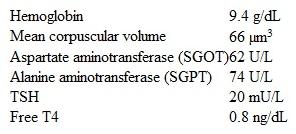 A 31-year-old woman comes to the office due to fatigue and cold intolerance.  She has also experienced abdominal bloating, and states,  I can't think clearly and I feel like I am always in a fog.   The patient has a history of hypothyroidism treated with levothyroxine and has required escalating doses (currently 200 mcg/day)  over the last several months as her serum TSH has remained elevated.  She has been compliant in taking her levothyroxine every day 1 hour before breakfast and takes no other medications or supplements.  The patient had a miscarriage at age 25, and her menstrual periods have been irregular since then.  She quit smoking cigarettes 10 years ago, drinks a few beers on most weekends, and does not use recreational drugs. Blood pressure is 136/92 mm Hg and pulse is 66/min.  BMI is 30 kg/m<sup>2</sup>.  Examination shows diffuse firm enlargement of the thyroid gland.  Cardiopulmonary and abdominal examinations are unremarkable. Laboratory results are as follows:   Which of the following is the most appropriate diagnostic study for this patient? A) IgA anti-tissue transglutaminase antibodies B) Serum IgE level C) Serum T3 level D) Thyroid peroxidase antibodies E) Thyrotropin receptor antibodies
