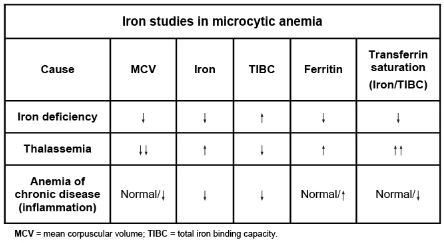 A 28-year-old woman comes to the physician with fatigue and low energy.  She was started on depot medroxyprogesterone acetate injections 6 months ago and relates her symptoms to the therapy and resulting cessation of her menstrual cycles.  The patient was diagnosed with diarrhea-predominant irritable bowel syndrome 8 months ago, and continues to have intermittent symptoms of that as well.  She also has a history of generalized anxiety disorder.  Her current medications include a multivitamin and simethicone for excessive flatulence. Laboratory results are as follows:   A peripheral smear is shown in the image below:   Which of the following is the best diagnostic test to confirm the diagnosis? A) Anti-glutamic acid decarboxylase antibodies B) Anti-tissue transglutaminase antibodies C) Bone marrow biopsy D) Direct antiglobulin (Coombs')  test E) Hemoglobin electrophoresis