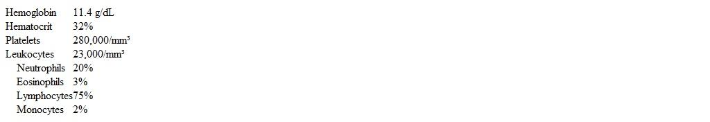 A 63-year-old man comes to the office for follow-up after a recent emergency department (ED)  visit.  The patient has had several months of mild shortness of breath and cough with clear sputum production.  Ten days ago, he came to the ED due to worsening cough, shortness of breath, and wheezing.  He was diagnosed with an acute exacerbation of chronic obstructive pulmonary disease and was prescribed inhaled bronchodilators, empiric antibiotics, and a 7-day course of oral prednisone.  His respiratory symptoms have since improved.  The patient has no other medical problems.  Current medications are inhaled tiotropium and as-needed albuterol.  He has smoked a pack of cigarettes daily for 34 years, but now smokes 5 or 6 cigarettes daily.  The patient drinks alcohol occasionally and does not use illicit drugs. Temperature is 36.7 C (98 F) , blood pressure is 110/80 mm Hg, pulse is 78/min, and respirations are 16/min.  Pulse oximetry shows 97% on room air.  Examination reveals several discrete, firm, and nontender lymph nodes in cervical and axillary regions.  The lungs are clear to auscultation but expiration is prolonged.  Heart sounds are normal.  The abdomen is soft and nontender.  Liver edge is palpable 2 cm below the right costal margin, and mild splenomegaly is present. Laboratory results are as follows:   Leukocyte count at the time of his ED evaluation was 22,000/mm<sup>3</sup>. Which of the following is the best next step in management of this patient's leukocytosis? A) Obtain CT scan of the chest, abdomen, and pelvis B) Perform bone marrow aspiration and biopsy C) Provide reassurance and repeat blood counts in 1 month D) Recommend biopsy of the enlarged lymph node E) Send peripheral blood for flow cytometry