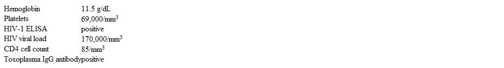 A 37-year-old man comes to the office due to generalized fatigue and weight loss over the last 6 months.  He has not had skin rash, fevers, night sweats, cough, or diarrhea.  The patient was diagnosed with HIV 6 years ago and does not take antiretroviral medications. Vital signs are normal and BMI is 18 kg/m<sup>2</sup>.  Physical examination shows small, mobile submandibular lymph nodes.  Mucous membranes are moist with no lesions.  The lungs are clear to auscultation.  There is no organomegaly on abdominal examination. Laboratory results are as follows:   In addition to antiretroviral therapy, prophylaxis against which of the following pathogens should be initiated in this patient?   A) A B) B C) C D) D E) E