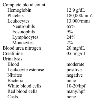 A 24-year-old man comes to the office due to hematuria.  For the past 2 days, he has been passing bright red blood at the end of micturition.  He has mild dysuria, but no fever or abdominal pain.  He travels throughout Africa frequently and returned from a rafting trip in central Africa 3 months ago.  The patient followed medical advice regarding vaccinations and medication prophylaxis.  His past medical history is otherwise insignificant.  He drinks 2-3 cans of beer on the weekend and does not use tobacco or illicit drugs.  The patient has one sexual partner, with whom he uses condoms consistently.  He works as a sales representative. His temperature is 36.1 C (97 F) , blood pressure is 120/70 mm Hg, and pulse is 68/min.  Cardiopulmonary examination is normal.  The abdomen is soft and nontender without organomegaly.  The external genitalia are unremarkable.  On rectal examination, the prostate is normal in size and nontender. Laboratory results are as follows:   Which of the following is the best next step in management of this patient? A) CT scan of abdomen and pelvis B) Cystoscopy C) Peripheral blood smear D) Schistosoma serology E) Tuberculin skin test