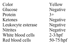 A 24-year-old man comes to the urgent care clinic due to blood in his urine.  He has a 1-day history of mild midline back discomfort, associated with a single episode of red urine.  The hematuria subsequently resolved and his urine is now a normal yellow color.  The patient also has had a sore throat for the past 4 days, for which he took 3 tablets of over-the-counter acetaminophen.  He has had no fever, abdominal pain, or burning during urination.  He has smoked 1 pack of cigarettes daily for 5 years.  Physical examination is unremarkable.  Urinalysis shows:   Which of the following is the most likely source of this patient's urinary complaints? A) Glomerulus B) Prostate gland C) Renal interstitium D) Renal papilla E) Renal tubule F) Urinary bladder epithelium