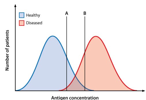 A gynecologic oncology research institute isolates a potential tumor marker for endometrial cancer.  A large multicenter study is then performed to evaluate serum levels of the tumor marker in women with and without endometrial cancer.  The following curves are generated using the results of the study.   Clinical researchers decide to use the tumor antigen to develop a confirmatory test for patients with suspected endometrial cancer.  During preliminary design of the test, the cutoff point for positive/negative results is set at point A.  If the cutoff point is moved from A to B, the specificity of the test will change in which of the following ways? A) Cannot be determined B) Decreased C) Increased D) Unchanged