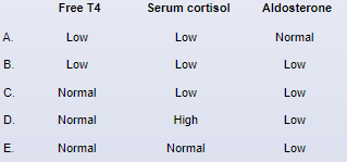 A 35-year-old man comes to the office with a year-long history of fatigue and weakness.  He has had a significant decrease in appetite and interest in day-to-day activities due to lack of energy.  He also reports cold intolerance, a dull constant headache, constipation, erectile dysfunction, and low libido.  The patient has no fever, neck swelling, skin rash, head injury, or excessive urination.  Temperature is 36.6 C (97.9 F) , blood pressure is 98/72 mm Hg, pulse is 50/min, and respirations are 14/min.  The skin is dry and pale.  Neurologic examination shows delayed deep tendon reflexes.  The testes are small and soft on palpation.  Laboratory results are as follows:   Further evaluation in this patient would most likely show which of the following?   A) A B) B C) C D) D E) E