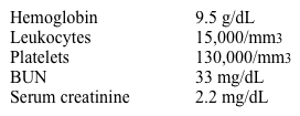 A 57-year-old woman is admitted to the intensive care unit (ICU)  after being involved in a highway motor vehicle accident.  She was hypotensive at the scene and received 7 L of fluids, which included crystalloids, blood, and fresh frozen plasma.  She had significant external blood loss from multiple fractures and skin loss.  She undergoes surgery, after which she is transferred to the ICU and receives continuous IV fluids and vasopressors.  Her laboratory studies 24 hours after the accident show the following:   Which of the following is the most likely microscopic finding on urinalysis? A) Broad cast B) Muddy brown cast C) Red blood cell casts D) White blood cell casts E) Fatty casts F) Eosinophils