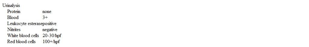 A 17-year-old girl is brought to the office due to bright red blood in the urine for 2 days.  She has also had dysuria but no trauma, fever, or flank pain.  The patient has no history of serious illness and takes no medications.  She has regular menstrual periods, and her last period was 2 weeks ago.  Temperature is 37.2 C (99 F) .  Examination shows no abnormalities.  Laboratory results are as follows:   Which of the following is the best next step in management of this patient? A) 24-hour urine protein measurement B) Antibiotic therapy C) CT scan of the abdomen D) Cystoscopy E) Kidney biopsy F) Renal ultrasound G) Repeat urinalysis in 2 weeks