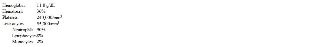 A 3-year-old girl is brought to the emergency department due to severe oral pain.  The pain began 2 weeks ago with discomfort while chewing and has progressively worsened; she now refuses any oral intake.  The patient had a similar episode of oral pain last year.  Medical history includes 2 sinus infections and numerous episodes of nonpurulent cellulitis.  Skin cultures from previous infections isolated Staphylococcus aureus and Streptococcus pyogenes.  Physical examination shows periodontal inflammation with ulceration and necrosis.  The results of a complete blood count are as follows:   Which of the following abnormalities is most likely present in this patient? A) Adenosine deaminase deficiency B) Complement deficiency C) Defective B-lymphocyte maturation D) Defective intracellular killing E) Defective leukocyte adhesion