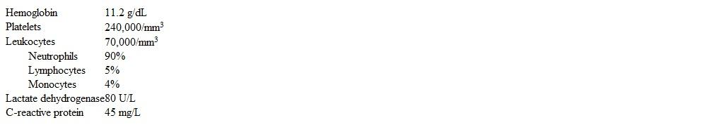 A 14-month-old boy is brought to the office for follow-up due to pneumonia.  The patient required hospitalization 2 weeks ago for lobar pneumonia, his second admission for this diagnosis in the past 6 months.  A chest tube was placed for an effusion, with the pleural fluid demonstrating minimal leukocytes and numerous gram-positive cocci in clusters.  The fever resolved after 10 days, after which the patient was discharged, although he continues to have cough and occasional increased work of breathing.  This slow symptom improvement also occurred with an episode of nonpurulent staphylococcal cellulitis last month.  Temperature is 37.7 C (99.9 F) .  Oral examination reveals eruption of both upper central incisors with surrounding erythema and ulceration.  The posterior oropharynx appears unremarkable.  Lung sounds are diminished at the left lower base with some scattered crackles.  Heart sounds are normal.  The abdomen is soft and nondistended without hepatosplenomegaly.  The remainder of the examination is unremarkable.  Laboratory results are as follows:   Chest x-ray reveals opacification of the left lower lobe and a small left effusion improved from 2 weeks ago.  Which of the following is most likely present in this patient? A) Giant cells with bilobed nuclei in germinal centers B) Low numbers of peripheral CD4 cells C) Numerous myeloblasts in the peripheral circulation D) Presence of giant granules within neutrophils E) Reduced CD18 markers on the surfaces of neutrophils