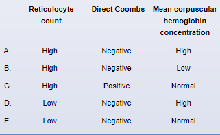 A 3-year-old boy is brought to the clinic due to decreased energy and yellow skin.  The patient first became ill 2 days ago when he developed a runny nose and cough.  Yesterday, he had abdominal pain with nausea, but he has not had vomiting or diarrhea.  The mother also noticed yellowing of the patient's eyes and skin, and this morning he did not want to play or eat.  Medical history includes similar yellowing of the skin after birth that required phototherapy.  Otherwise, he has been healthy.  Several members of his family had similar intermittent episodes of skin yellowing during childhood, and 2 relatives underwent splenectomies in adulthood.  The patient takes no medications.  Physical examination shows a tired-appearing toddler with mild jaundice.  Eye examination shows mild scleral icterus.  The abdomen is soft and tender in the left upper quadrant.  The spleen is 4 cm below the costal margin.  The remainder of the examination shows no abnormalities.  Laboratory results are as follows:   Additional evaluation of this patient would most likely reveal which of the following laboratory findings?   A) A B) B C) C D) D E) E