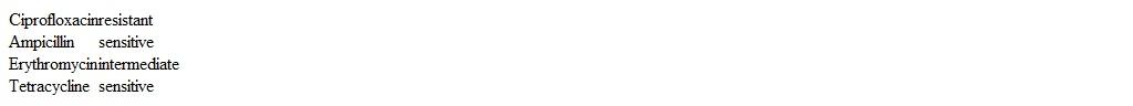 A 5-year-old boy is brought to the clinic for follow-up of abdominal pain and diarrhea.  Four days prior, he was evaluated at the onset of low-grade fever and mucus-filled diarrhea, and a stool culture was obtained.  The parents were instructed to increase the patient's fluid intake and return in a few days.  Since that time, his fevers have resolved, but he continues to have 5-6 episodes of watery, mucus-filled diarrhea daily.  The patient has no chronic medical conditions.  Temperature is 37.2 C (99 F)  and blood pressure is 98/50 mm Hg.  Mucous membranes are moist.  Heart and lung examinations are normal.  The abdomen is mildly distended and diffusely tender to deep palpation without hepatosplenomegaly or masses.  Hemoccult testing is negative.  Stool culture reveals a large growth of Campylobacter coli with the following susceptibilities:   Which of the following is the most appropriate treatment for this patient's condition? A) Amoxicillin B) Azithromycin C) Doxycycline D) Levofloxacin E) Symptomatic care only