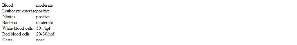 An 18-month-old girl is brought to the emergency department due to fever and abdominal pain.  Yesterday she began to cry while urinating.  Today her parents saw a small amount of blood in the urine, and the urine was malodorous.  The patient was born at term and has no chronic medical conditions.  Temperature is 38.9 C (102 F) , blood pressure is 96/62 mm Hg, pulse is 130/min, and respirations are 20/min.  Physical examination shows suprapubic tenderness and left costovertebral angle tenderness.  Complete blood count reveals leukocytosis.  Serum creatinine and electrolytes are normal.  Catheterized urinalysis results are as follows:   A urine culture grows 100,000 colony-forming units/mL of Escherichia coli.  Antibiotics are administered, and her fever and pain resolve on the second day of hospitalization.  In addition to completing the current course of antibiotics, which of the following is the best next step in management of this patient? A) Begin daily antibiotic prophylaxis B) No further studies indicated C) Obtain voiding cystourethrogram D) Perform renal and bladder ultrasound E) Repeat complete blood count and urine culture