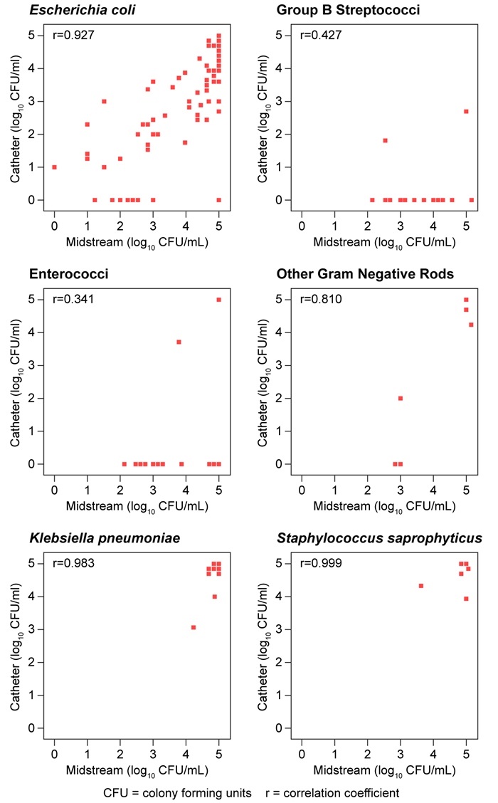 A study evaluated the accuracy of using midstream urine (MSU)  culture to identify the causative pathogen in patients with uncomplicated cystitis.  Women ages 18-49 with symptoms of cystitis provided MSU specimens for culture.  The investigators also collected urine by means of a urethral catheter for culture, which served as the gold standard for confirming the causative pathogen.  Bacterial growth was determined in colony forming units per mL.  Correlation coefficients (r)  were calculated for several organisms by comparing the logarithm of bacterial growth in urethral catheter specimens to that of bacterial growth in MSU specimens.  The following plots were reported:   Which of the following organisms identified by MSU most likely has the lowest positive predictive value in revealing the causative pathogen for cystitis? A) Enterococci B) Escherichia coli C) Group B streptococci D) Klebsiella pneumoniae E) Staphylococcus saprophyticus