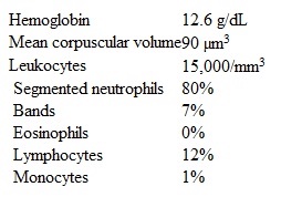 A 31-year-old woman is brought to the emergency department due to fever, chills, abdominal pain, and urinary frequency for the past 5 days.  She vomited twice today, and her symptoms have become progressively worse.  The patient reports increased malodorous vaginal discharge but no abnormal vaginal bleeding.  She has no associated dysuria, hematuria, diarrhea, constipation, or sick contacts.  The patient has no chronic medical conditions or previous surgeries.  Her last menstrual period was a week ago.  She is sexually active and uses oral contraceptives.  The patient has no known drug allergies.  Temperature is 38.9 C (102 F) , blood pressure is 100/60 mm Hg, pulse is 110/min, and respirations are 18/min.  Physical examination shows a pale and diaphoretic woman.  The abdomen is soft, diffusely tender, and nondistended; no rebound tenderness or rigidity is present.  Bowel sounds are increased.  There is no splenomegaly, costovertebral angle tenderness, or tenderness to palpation of the lower back.  On pelvic examination, there is light yellow discharge at the external cervical os and tenderness on lateral movement of the cervix.  Laboratory results are as follows:   Urinalysis results are unremarkable.  Urine pregnancy test is negative.  Pelvic ultrasonography shows a small uterus with no adnexal masses.  Which of the following is the most appropriate next step in management of this patient? A) Cefoxitin plus doxycycline B) Ceftriaxone plus metronidazole C) Ciprofloxacin plus metronidazole D) No antibiotics until laboratory results are returned E) Piperacillin plus tazobactam