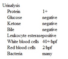 A 30-year-old woman, gravida 1 para 0, at 34 weeks gestation comes to the office for a prenatal visit.  The patient reports no abdominal pain, vaginal bleeding, or leakage of fluid.  Fetal movement is normal.  The patient has had urinary frequency throughout her pregnancy, but it has worsened over the last 4 days and is now associated with dysuria.  She has no fevers, chills, nausea, vomiting, back pain, or hematuria.  The pregnancy has been uncomplicated.  The patient has no history of chronic medical conditions and has had no previous surgery.  She takes a daily prenatal vitamin.  The patient smokes half a pack of cigarettes a day but does not use alcohol or illicit drugs.  Temperature is 36.7 C (98.0 F) , blood pressure is 126/78 mm Hg, pulse is 76/min, and respirations are 18/min.  BMI is 28 kg/m<sup>2</sup>.  Fetal heart rate is 140/min.  On physical examination, the uterus is nontender and fundal height is 34 cm.  Suprapubic tenderness is elicited with deep palpation.  There is no costovertebral angle tenderness.  Laboratory results are as follows:   The patient is prescribed an appropriate antibiotic, and a clean-catch urine sample is obtained and sent for culture.  The following day, the patient comes to the emergency department with fever, chills, nausea, and flank pain.  Temperature is 38.3 C (101 F) , blood pressure is 110/70 mm Hg, pulse is 96/min, and respirations are 16/min.  The fetal heart rate tracing has a baseline of 170/min, moderate variability, multiple accelerations, and no decelerations.  Tocometer shows no contractions.  The left costovertebral angle is tender to palpation.  Abdominal examination reveals a gravid, nontender uterus and no abdominal tenderness.  A digital cervical examination reveals the cervix to be closed, long, and posterior.  There is trace pedal edema over the bilateral lower extremities to the knees.  Which of the following is the best next step in management of this patient?  A) Administer intramuscular ceftriaxone, prescribe oral nitrofurantoin, and discharge home  B) Admit to the hospital and administer ceftriaxone  C) Admit to the hospital and administer ciprofloxacin  D) Obtain renal ultrasound to assess for perinephric abscess or renal calculi  E) Prescribe trimethoprim-sulfamethoxazole and discharge home