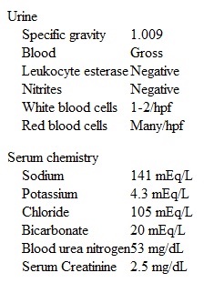 A 77-year-old man is brought to the physician by his daughter with a 1-week history of gross hematuria.  He has no frequency, urgency, hesitancy, or dribbling.  His other medical problems include hypertension, chronic low back pain, and chronic renal insufficiency.  The patient's medications include amlodipine, hydrochlorothiazide, and acetaminophen with codeine as needed.  He has a 46-pack-year smoking history.  Prostate examination shows no abnormalities.  Laboratory results are as follows:   Urine microscopy shows many normal-appearing red cells, but no dysmorphic red cells or casts.  Urine culture shows no growth.  Prostate-specific antigen is 3.2 ng/mL.  Ultrasound of the kidneys shows bilateral cortical atrophy but no other lesions.  Which of the following is the most appropriate next step in management of this patient? A) Abdominal computed tomography scan B) Cystoscopy C) Intravenous pyelography D) Renal biopsy E) Urine cytology