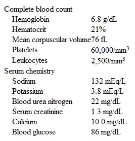 A 70-year-old woman is brought to the office by a friend who became concerned at finding her very weak and pale during a recent visit.  The friend had not seen the patient in more than 6 months and was shocked at her condition.  The patient says,  I feel very tired and have to sit down a lot to rest.   She has had these symptoms for the past 10 months, but they are becoming progressively worse.  She was diagnosed with primary myelofibrosis 2 years ago.  The patient was not offered bone marrow transplantation due to her age; instead, she has received blood transfusions on more than 10 occasions, as well as erythropoietin and androgens, which have yielded poor results.  She has no other medical problems and takes no other medication.  The patient is widowed and lives with her son, who cares for her.  Temperature is 36.7 C (98 F) , blood pressure is 120/70 mm Hg, pulse is 110/min, and respirations are 20/min.  She appears pale and undernourished, with significant muscular wasting.  Auscultation reveals tachycardia.  Hepatosplenomegaly is present.  Laboratory results are as follows:   Three months ago, when her hemoglobin level was 8.0 g/dL and her hematocrit was 24%, the patient stated that she did not want any more blood transfusions or treatment.  She understands that her condition is worsening but has not changed her mind, and continues to refuse any type of therapy.  Which of the following is the most appropriate course of action? A) Allow the patient to go home and arrange for palliative home care services B) Ask the friend to encourage her to accept 2 units of packed red blood cells C) Contact the son to assist in treatment decisions D) Refer her to a psychiatrist to assess capacity to refuse treatment E) Refer her to the emergency department for fluid repletion